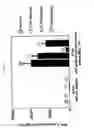 Fig. 06 - IMMUNE BALANCE-REGULATING AGENT