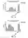 Fig. 11 - Modified factor VIII peptides