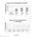 Fig. 10 - Chimeric VEGF Peptides