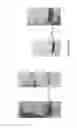 Fig. 11 - Chimeric VEGF Peptides