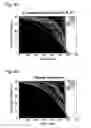 Fig. 06 - Mosaic clade M human immunodeficiency virus type 1 (HIV-1) gag immunogens