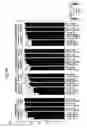 Fig. 09 - Mosaic clade M human immunodeficiency virus type 1 (HIV-1) gag immunogens