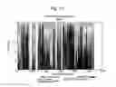 Fig. 56 - Mosaic clade M human immunodeficiency virus type 1 (HIV-1) gag immunogens