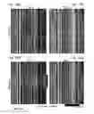 Fig. 58 - Mosaic clade M human immunodeficiency virus type 1 (HIV-1) gag immunogens