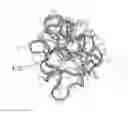 Fig. 01 - TAT Protein for preventing or treating AIDS