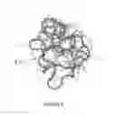 Fig. 05 - TAT Protein for preventing or treating AIDS