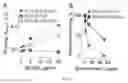 Fig. 11 - HIV CD4 BINDING SITE BASED COVALENT IMMUNOGEN COMPOSITIONS