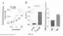Fig. 16 - HIV CD4 BINDING SITE BASED COVALENT IMMUNOGEN COMPOSITIONS