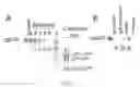 Fig. 26 - HIV CD4 BINDING SITE BASED COVALENT IMMUNOGEN COMPOSITIONS