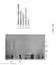 Fig. 03 - Soluble PD-1 variants, fusion constructs, and uses thereof