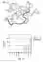Fig. 11 - Tat-Based Vaccine Compositions and Methods of Making and Using Same