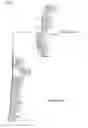 Fig. 22 - Chimeric factor H binding proteins (fHbp) and methods of use