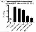 Fig. 06 - Polypeptide derived from and its use for vaccination