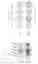 Fig. 19 - Engineered listeria and methods of use thereof
