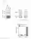 Fig. 20 - Engineered listeria and methods of use thereof