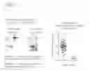 Fig. 25 - Engineered listeria and methods of use thereof