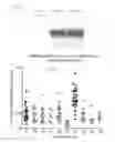 Fig. 27 - Engineered listeria and methods of use thereof
