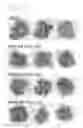 Fig. 29 - Engineered listeria and methods of use thereof