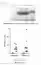 Fig. 34 - Engineered listeria and methods of use thereof