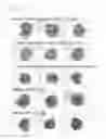 Fig. 36 - Engineered listeria and methods of use thereof
