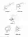 Fig. 03 - SUPRALINGUAL VACCINES AND APPLICATORS