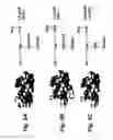 Fig. 04 - Vaccine