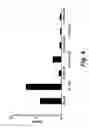 Fig. 05 - Vaccine