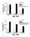 Fig. 11 - Vaccine