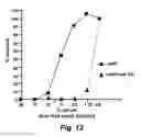 Fig. 13 - Vaccine