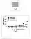 Fig. 02 - Compositions and methods for the prevention and treatment of cancer