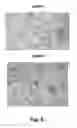 Fig. 07 - Compositions and methods for the prevention and treatment of cancer