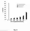 Fig. 13 - Compositions and methods for the prevention and treatment of cancer