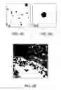 Fig. 03 - Chimeric Virus Vaccines