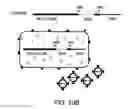 Fig. 11 - Chimeric Virus Vaccines