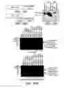 Fig. 17 - Chimeric Virus Vaccines