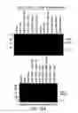 Fig. 22 - Chimeric Virus Vaccines