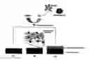 Fig. 01 - Enhancing biocompatibility of a medical device