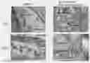Fig. 01 - Bone void fillers