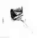 Fig. 02 - Bone void fillers