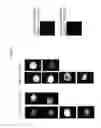 Fig. 07 - Bone void fillers