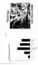 Fig. 12 - Bone void fillers