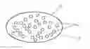 Fig. 01 - Gastric Acid Secretion Inhibiting Composition