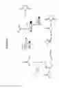 Fig. 03 - Particles that disrupt or impede bacterial adhesion, related compositions and methods