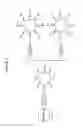 Fig. 04 - Particles that disrupt or impede bacterial adhesion, related compositions and methods
