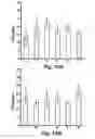 Fig. 14 - VIRICIDAL AND MICROBICIDAL COMPOSITIONS AND USES THEREOF