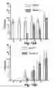 Fig. 17 - VIRICIDAL AND MICROBICIDAL COMPOSITIONS AND USES THEREOF