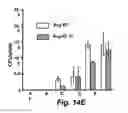 Fig. 19 - VIRICIDAL AND MICROBICIDAL COMPOSITIONS AND USES THEREOF
