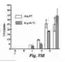 Fig. 22 - VIRICIDAL AND MICROBICIDAL COMPOSITIONS AND USES THEREOF