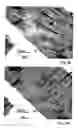 Fig. 06 - FUNCTIONAL NANOPARTICLE FILLED NANOTUBES AND METHODS OF THEIR PRODUCTION