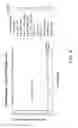 Fig. 05 - Method to enhance an immune response of nucleic acid vaccination